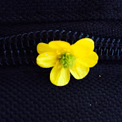 Profile Picture of Joy Patton (@joypatton) on Youtube