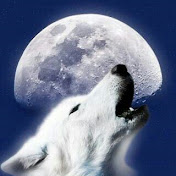 Profile Picture of Lisa Clayton (@lisaclayton552) on Youtube