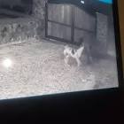 Profile Picture of   Veva Losoya (@vevalosoya)... (@vevalosoya) on Tiktok