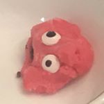 Profile Picture of Amy (@amy_willenbrink) on Instagram