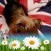 Profile Picture of Sarah Plunkett (@sarah.plunkett.313) on Facebook