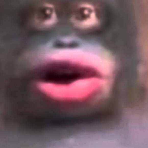 Profile Picture of Rodriguez Sanchez (@rodriguez203) on Poshmark