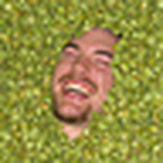 Profile Picture of Austin Southard (@ale_conner) on Flickr