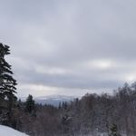 Profile Picture of Shawn Bell (@bellbuilttrucks) on Instagram