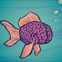 Profile Picture of Devin Smythe (@devin-smythe) on Quora