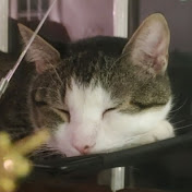 Profile Picture of Austin Conner (@austinconner2573) on Youtube