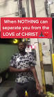 Profile Picture of   Don-Dimitri Joseph... (@dondjoseph_) on Tiktok
