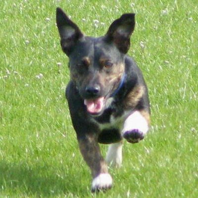 Profile Picture of Mike Scriven (@ScrivenMichael) on Twitter