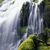 Profile Picture of Rivka Akselrod (@NotSoHandsom41) on Youtube