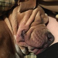 Profile Picture of Ryan Beres (@ryan-beres-4) on Quora