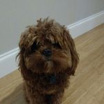 michael maton - Instagram Profile Picture of michael maton (@michalmaton) on Instagram