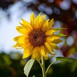 Profile Picture of Joyce gamma (@joyce_gamma12) on Instagram