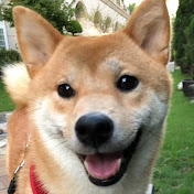 Profile Picture of Jill Hsieh (@jillhsieh3672) on Youtube