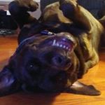 Profile Picture of Caleb Malone (@caleb.malone.79) on Instagram