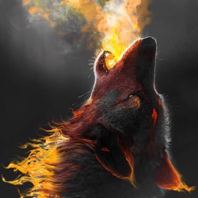 Profile Picture of Graham Cope (@GrahamCope1) on Twitter