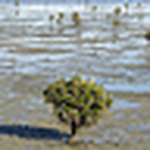 Profile Picture of Fierce_hope (@fierce_hope) on Flickr