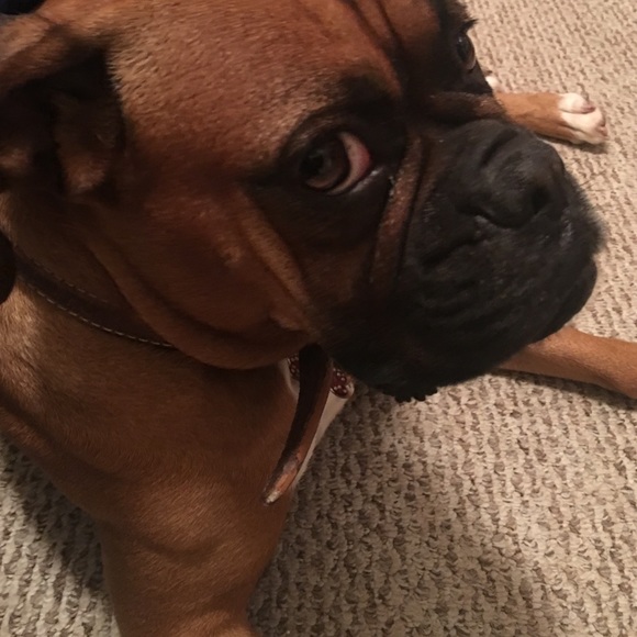 Profile Picture of Enith Lopez (@zyxzyxzyx) on Poshmark