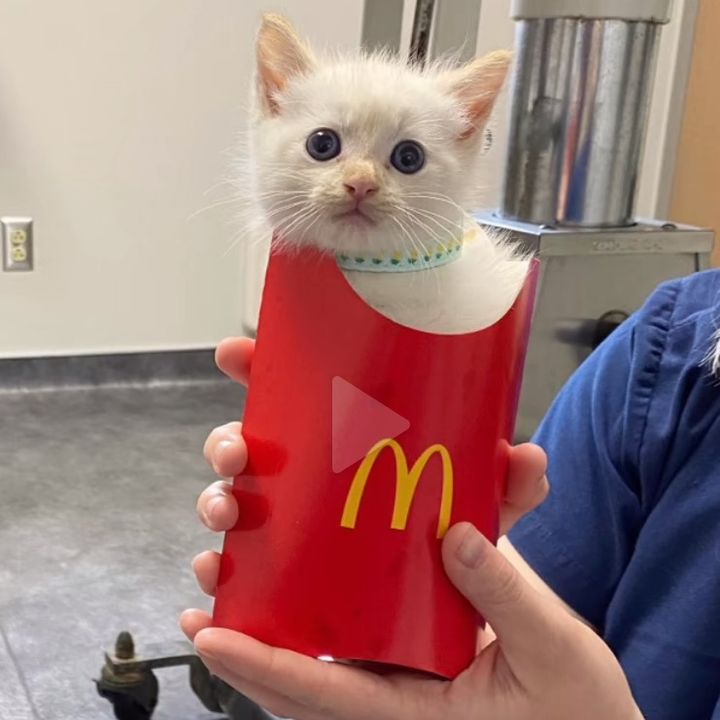 Profile Picture of mattewgcapper (@mattewgcapper) on Tiktok