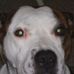 Profile Picture of Terry Andrew (@terry.andrew.904) on Facebook