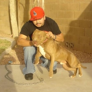 Profile Picture of Gilbert Rivas (@superman8501) on Myspace