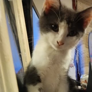 Profile Picture of hailey ashbaugh (@ashbaugh_hailey) on Instagram