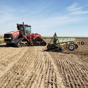 Profile Picture of Albert Gross (@AlbertG76881708) on Twitter