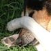 Profile Picture of Carlito' Aranda H (@caranda4) on Pinterest