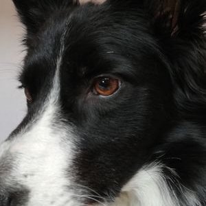 Profile Picture of Aiden McCormick (@AidenMcCormick8) on Twitter