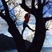 Profile Picture of Miwa Sasaki (@miwa.sasaki.3975) on Facebook