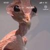 Profile Picture of Kevin Johannes‘ (@@kevinjohannesder3) on Tiktok