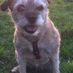 Mark Stoneham - Instagram Profile Picture of Mark Stoneham (@mstoneham1) on Instagram