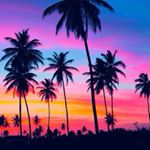 Profile Picture of Jeremy Gioseffi (@jeremy.gioseffi) on Instagram