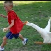 Profile Picture of Alexander Lind (@alexanderlind911) on Youtube