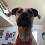 Profile Picture of Kate Beebe (@katebeebe) on Instagram