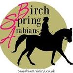 Profile Picture of Stuart Godwin (@birchspringarabians) on Instagram