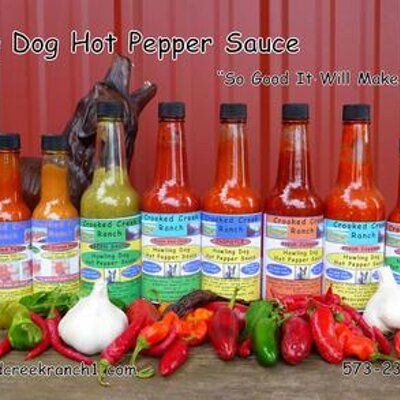 Profile Picture of Joe Belcher (@HowlnDogHotSauc) on Twitter