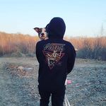 Profile Picture of Brandon Qualters (@q.uvlt) on Instagram