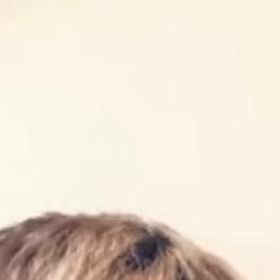 Profile Picture of Eddie (@eddietyr) on Tiktok