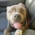 Profile Picture of James (@j_verbeck) on Instagram