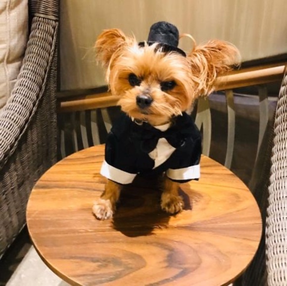 Luigi Amatore - Poshmark Profile Picture of Luigi Amatore (@luigiamatore) on Poshmark