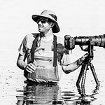 Profile Picture of Rob Pungello (@rob pungello) on Flickr