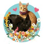 Profile Picture of John Cougar & Freddie Mercury (@johnandfreddiem) on Instagram