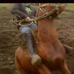 Profile Picture of hernan albarran (@hernan_albarran) on Instagram