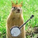 Profile Picture of Colton Casey (@coltoncasey31) on Twitter