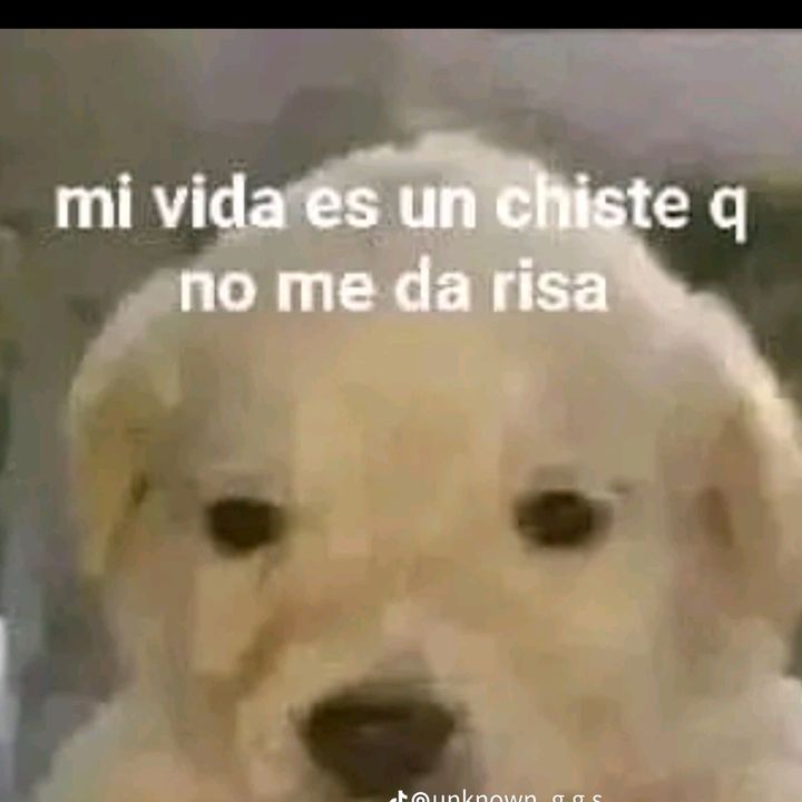 Profile Picture of derek (@derekrata7) on Tiktok