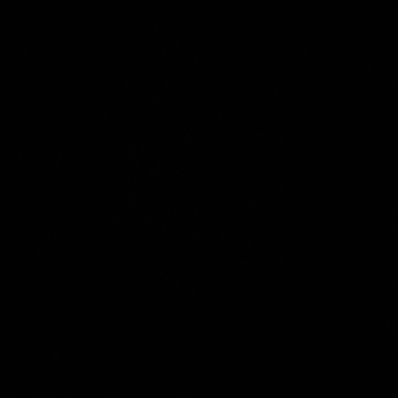 Profile Picture of Shauniece Perrin (@shaunieceperrin) on Poshmark