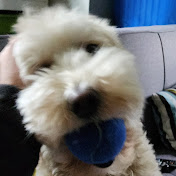 Profile Picture of Aaron Castle (@arobrain2174) on Youtube