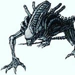 Profile Picture of David_Henschler (@_xenomaster_) on Instagram