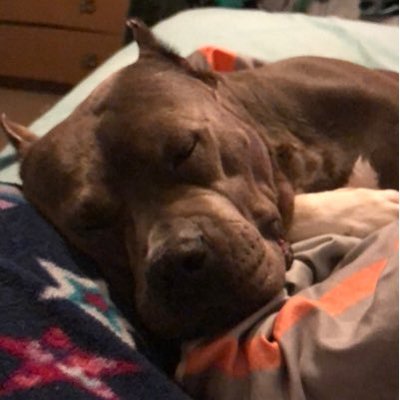 Profile Picture of Julianne Sharp (@CptGrooty2Shoes) on Twitter