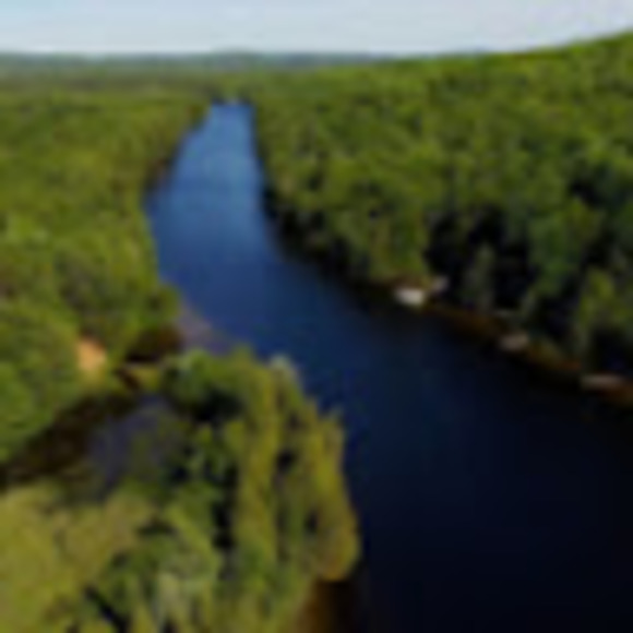 Profile Picture of Theodora Mirzaie (@theodoramirzaie) on Poshmark